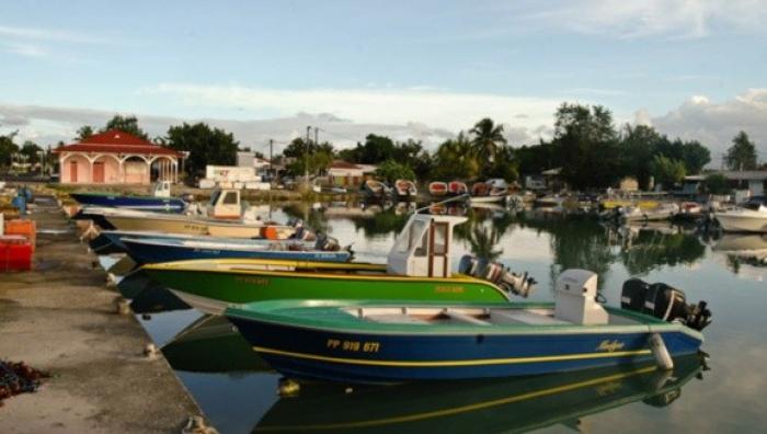Chlordécone : Les marins-pêcheurs accusent l’Etat de noyer le poisson