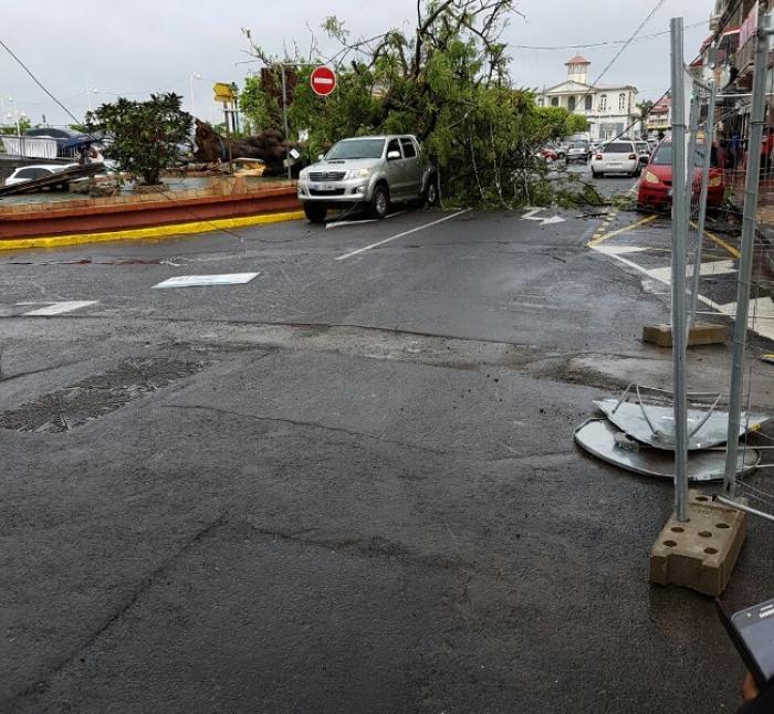 Chutes d'arbres, perturbations du réseau électrique, les effets de la tempête tropicale Matthew