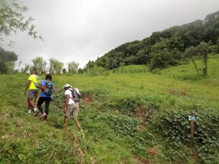 Crève-Cœur et Morne L'Étang pour fêter la Montagne ce week-end