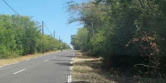 Cyclisme : après la lutte contre le dopage, celle pour l’environnement ?