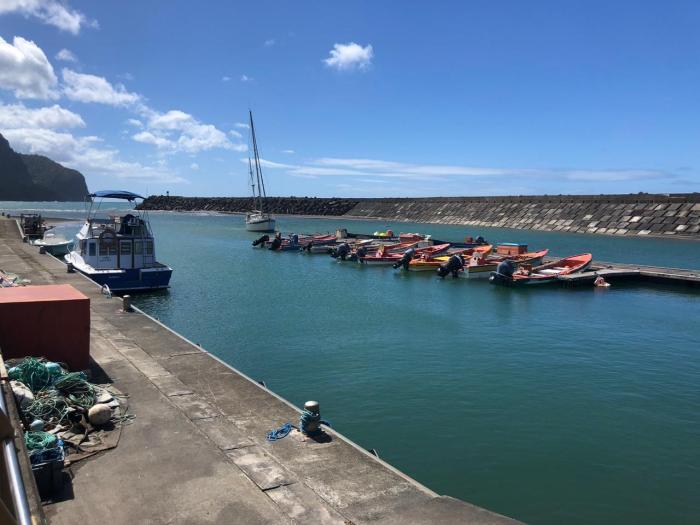 Dans le port de Grand-Rivière, les pêcheurs attendent toujours une amélioration