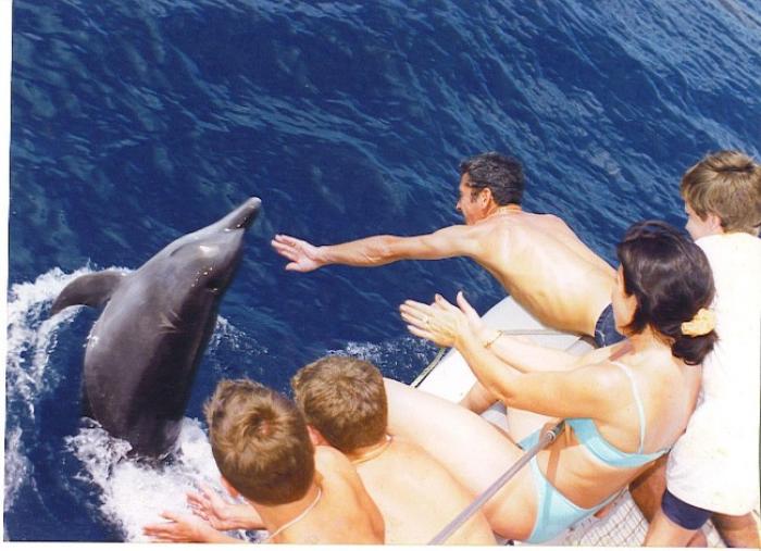 De nouvelles attractions touristiques en Martinique