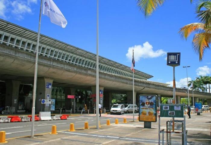Des animaux en divagation dans le périmètre de Pôle Caraïbes