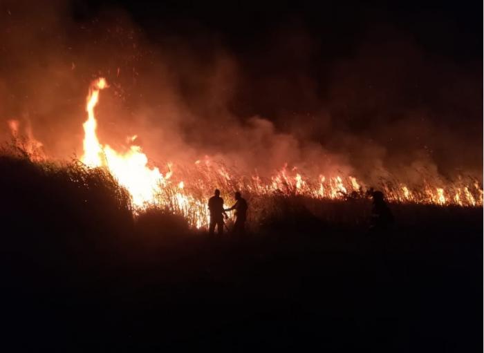 Des hectares de mangrove ravagés par un incendie à Marie-Galante (VIDEO)