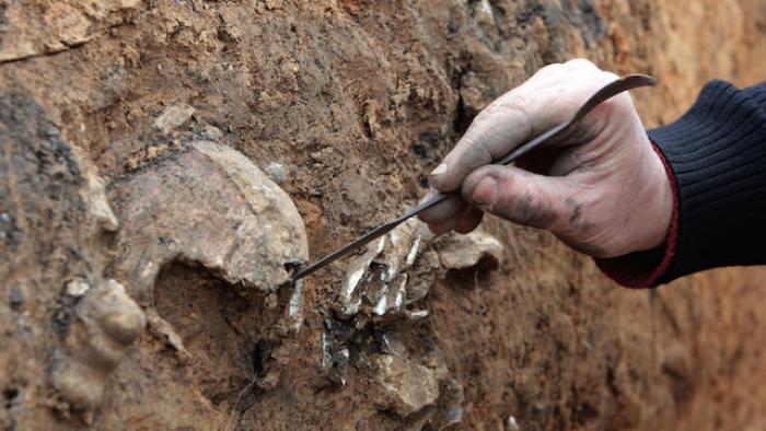 Des ossements anciens retrouvés à Sainte-Rose