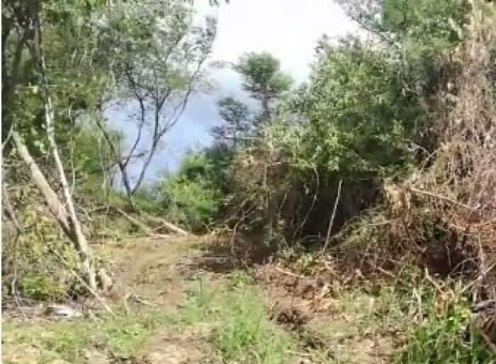 Défrichement d'un terrain au Vauclin : l'assaupamar mobilisée