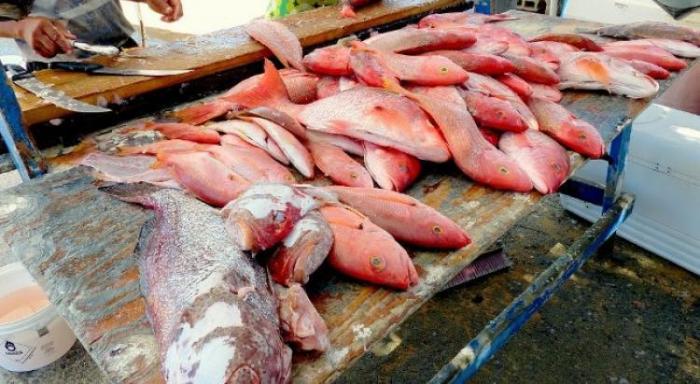 Echanges houleux entre les marins-pêcheur et l'Etat