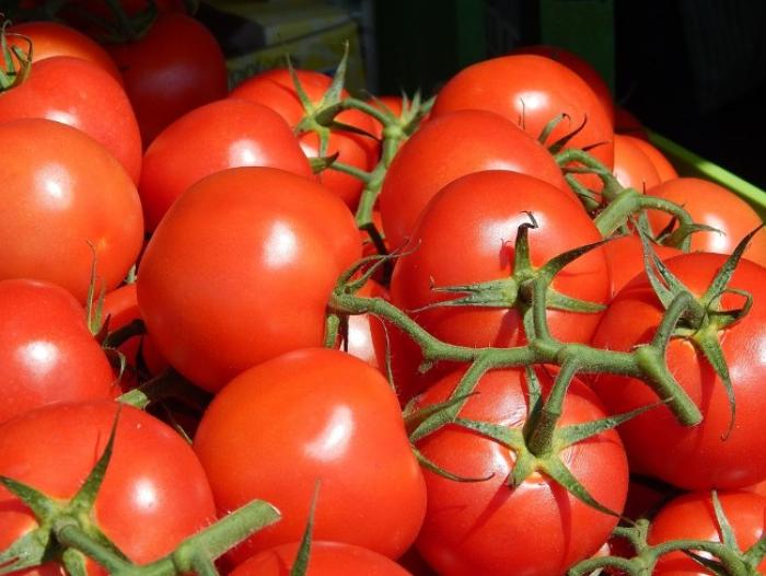 Enseigner la culture du potager dès l’école primaire