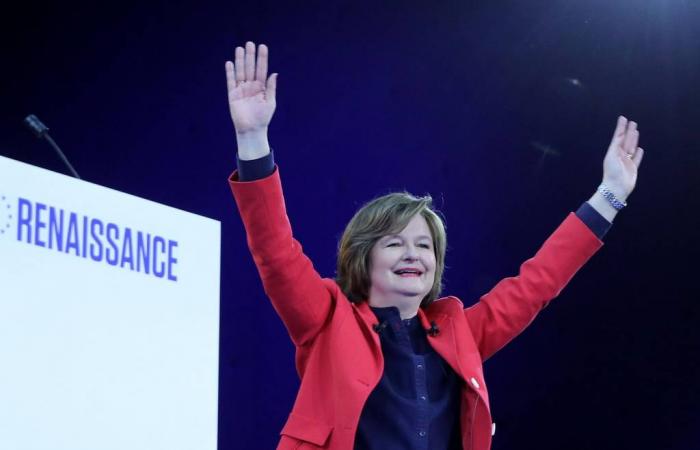 Européennes : réunion publique LREM/Modem