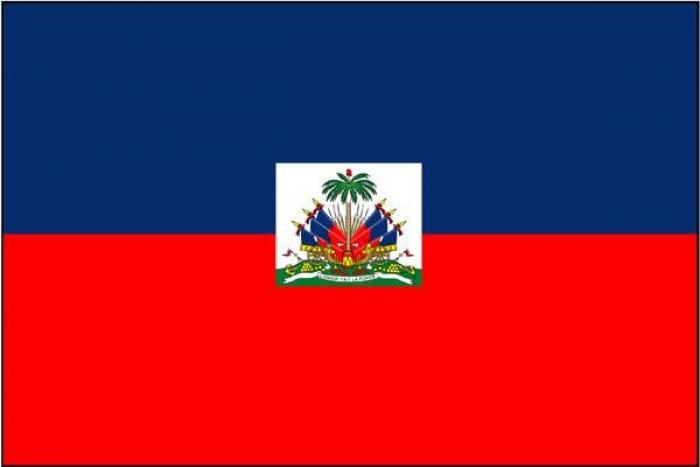 Faible participation au 1er Tour des élections en Haïti