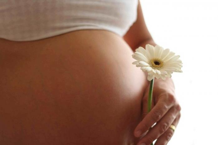 Feu vert pour une maison de naissance à Baie-Mahault