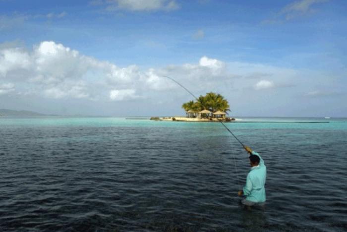 Forum sur la pêche et l’aquaculture : le parc national a fait le point
