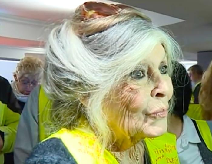 "Gènes de sauvages", "population dégénérée" : indignation et plaintes après les propos de Brigitte Bardot