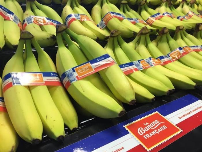 Hors de question d'abandonner le projet "Cap sur 100 000 tonnes de bananes d'ici 2020"