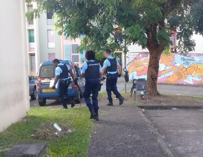 Important dispositif de gendarmes à la cité Thoraille à Rivière-Salée