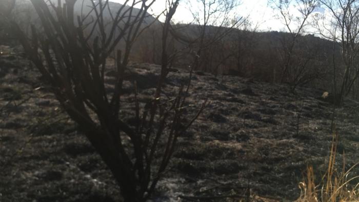 Incendie au Carbet : le phénomène est sous contrôle