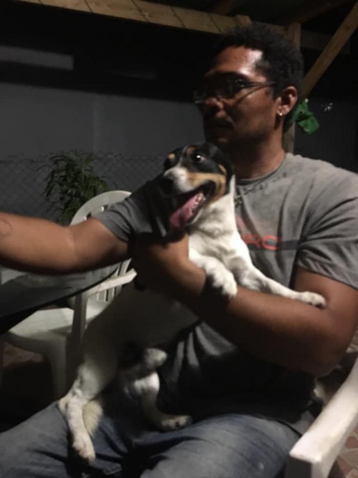 Jango : un Jack Russel disparu depuis plus d'un an retrouve le chemin du bercail