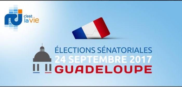 Jasmin, Lurel et Théophile élus sénateurs