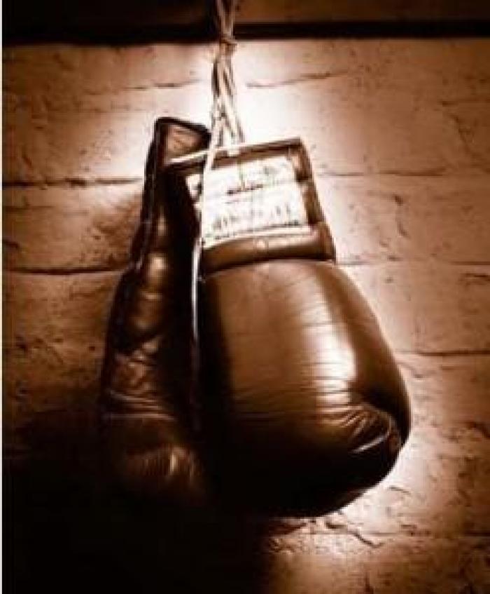 Kickboxing : direction l'Open International pour 5 martiniquais
