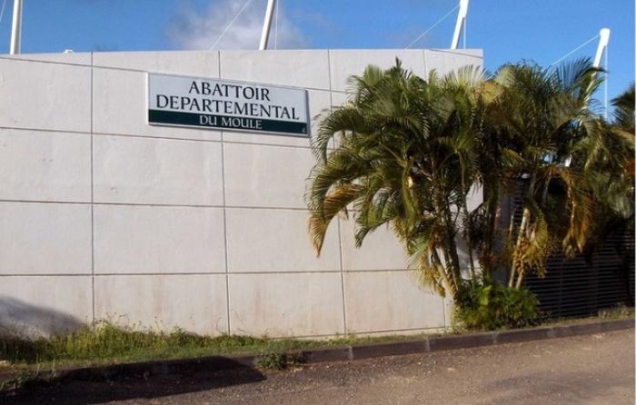 L’abattoir départemental bloqué par le Groupement de Défense Sanitaire