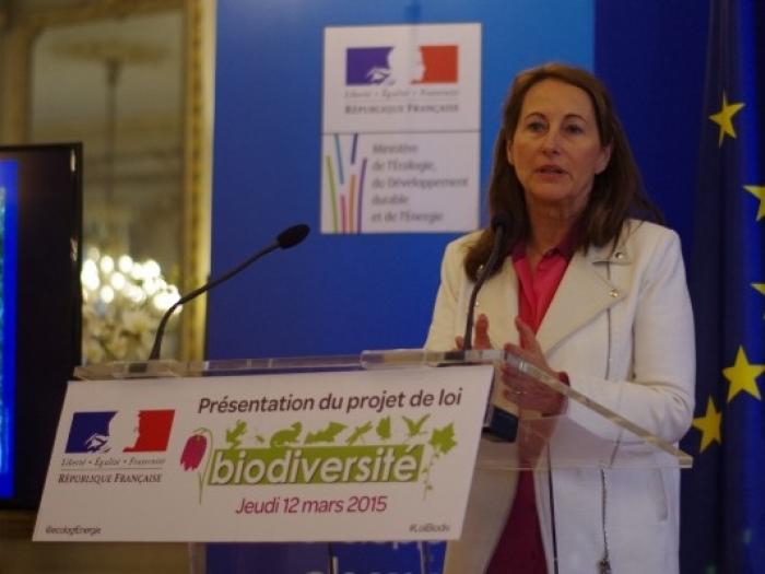 L’Agence Française pour la Biodiversité prend ses marques en Guadeloupe