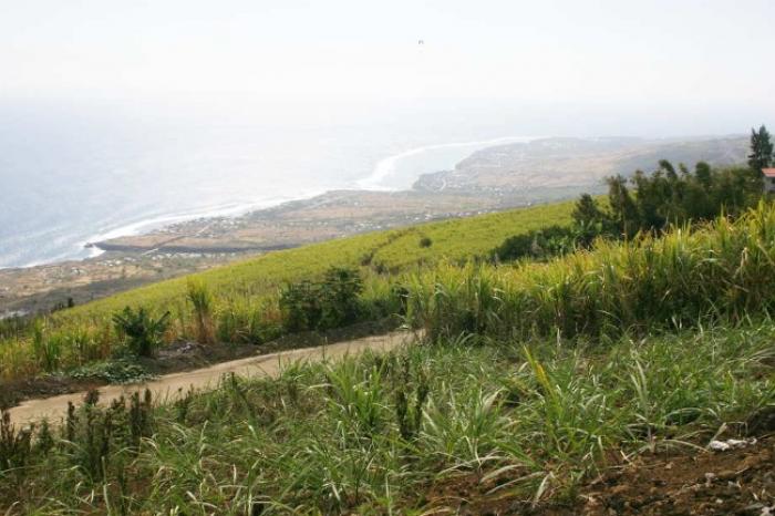 L’Union des Producteurs de Guadeloupe bloque l’accès de la SICADEG