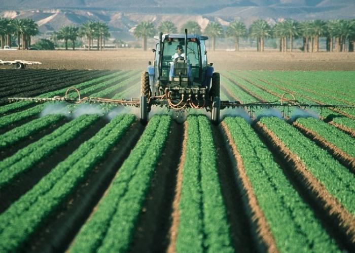 L'insecticide provoquant la microcéphalie n’est pas utilisé en Martinique