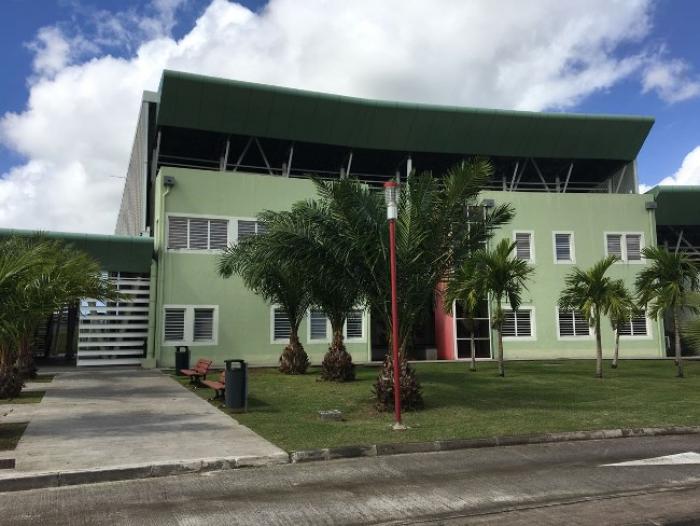 L'Institut Martiniquais du Sport change de stratégie