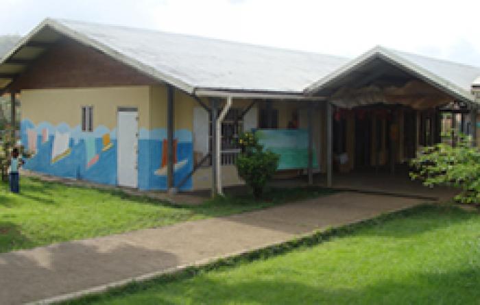 L'école de cité La Croix fermée après la découverte d'un essaim d'abeille