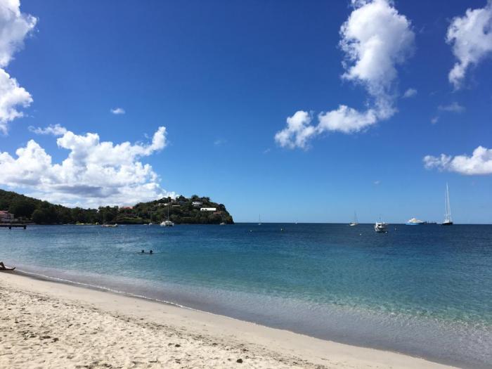 La baignade est momentanément interdite à l'Anse Mitan