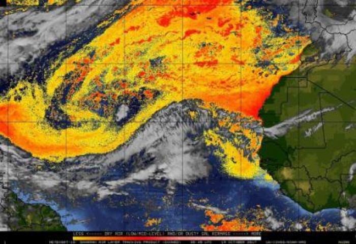 La brume de sable pourrait être à l'origine de la multiplication des naissances prématurées aux Antilles