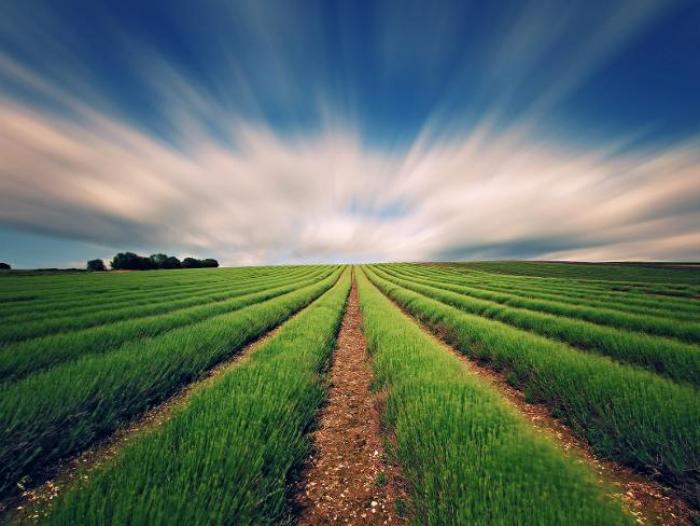 La Chambre d'Agriculture progresse