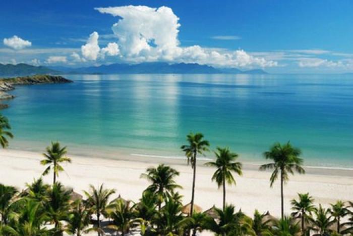 La Coupe Davis au service de la Guadeloupe, selon les discussions sur le net