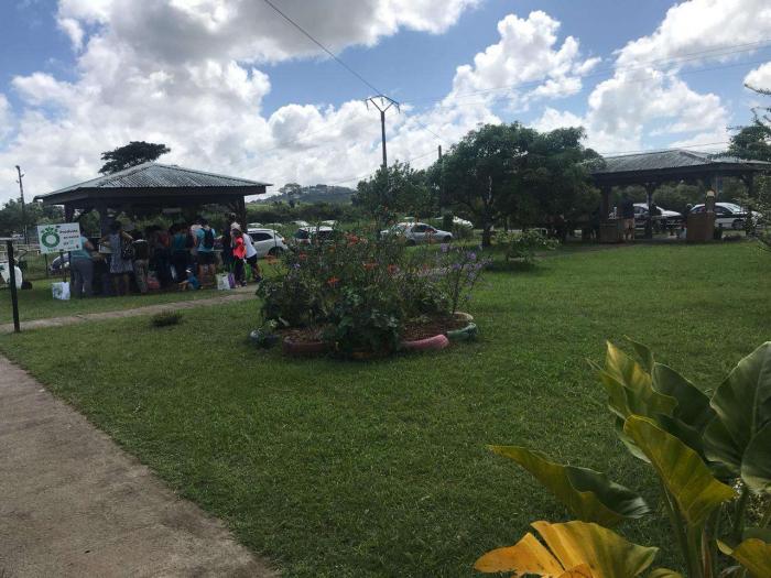 La ferme solidaire de Carrère au Lamentin a ouvert ses portes