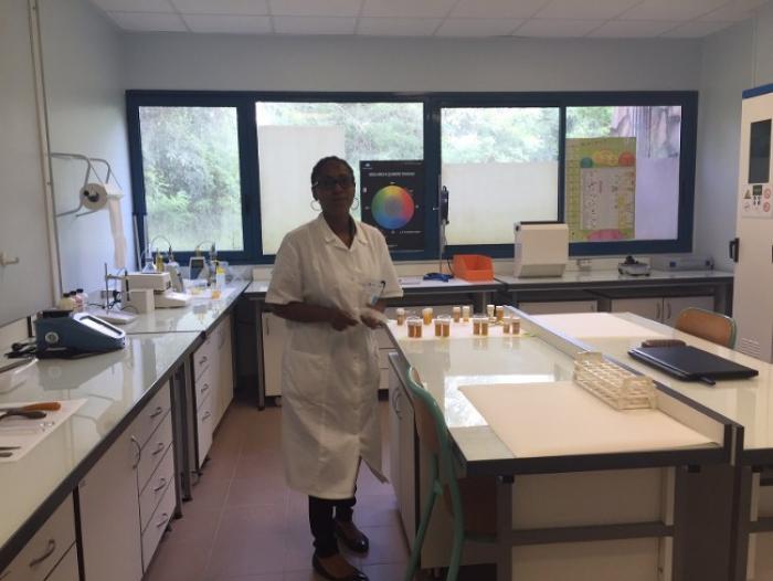 "La Martinique c'est quasiment une des îles où il y a le plus d'éponges en termes de biodiversité"
