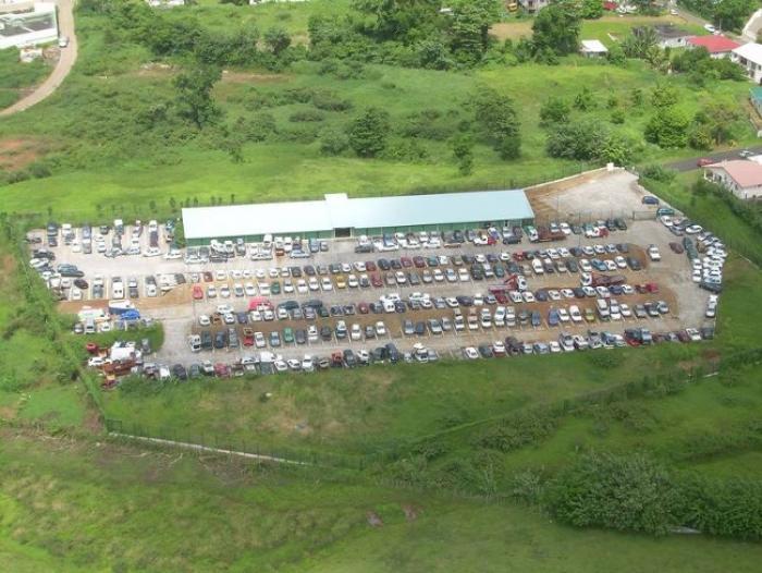 La Martinique n'a plus de service de fourrière depuis 20 mois