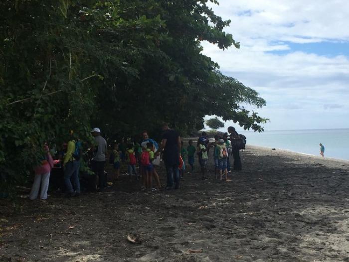La première aire marine éducative de Martinique