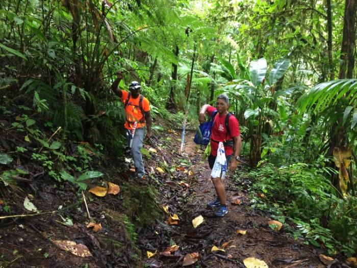 La Transmartinique 2015 est annulée !