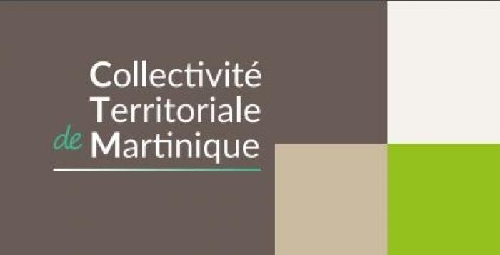 Le concours pour le logo de la CTM s'achève ce midi