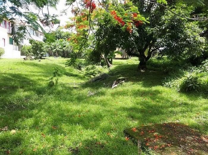 Le conservatoire de Martinique verra-t-il le jour ?