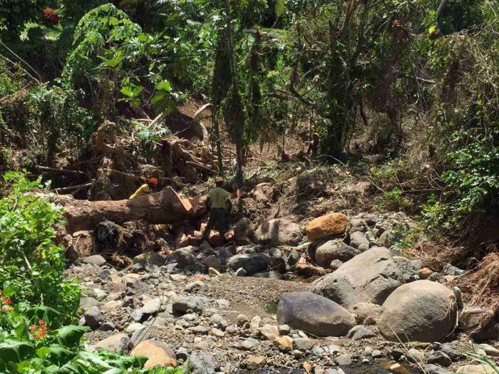 Le curage de la rivière Desroses au François a débuté