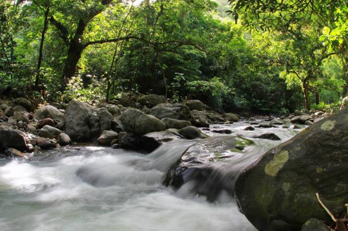 Le directeur du Parc Naturel de la Martinique débarqué ?