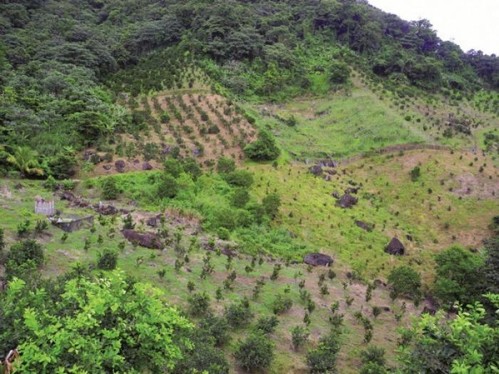 Le préfet soutient la demande de reconnaissance de l’état de calamité agricole