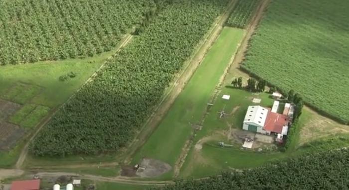 Le projet de l'aérodrome à Basse-Pointe revient sur le devant de la scène
