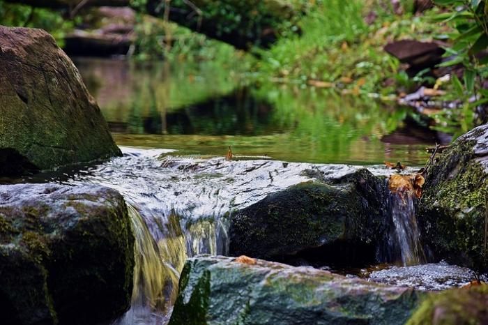 Le rendez-vous pédagogique sur l'eau n'attire pas les foules