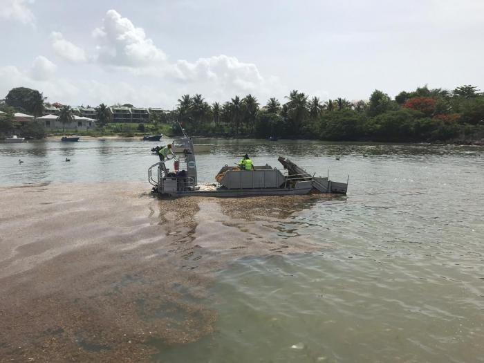 Le Sargator déployé au Gosier pour contrer l'invasion de sargasses