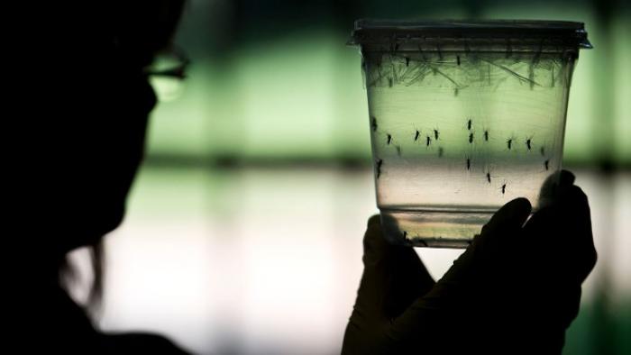 Le Zika décroît malgré un décès suspect