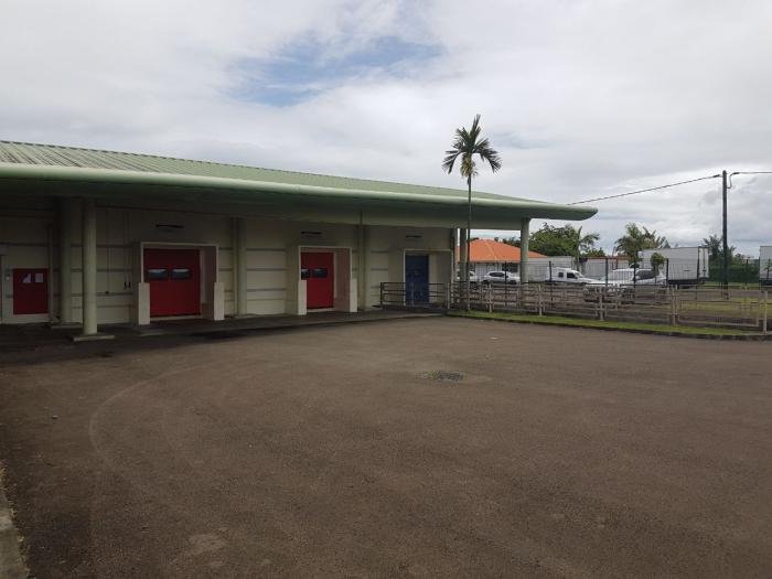 Les abattoirs de la Martinique en grève