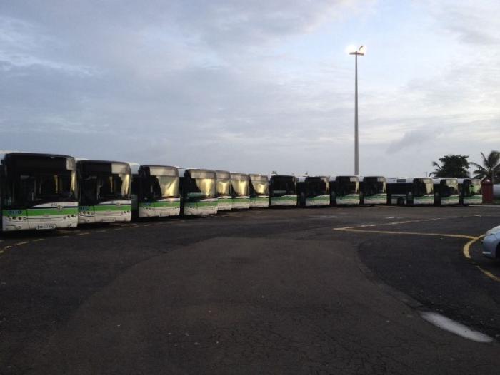 Les bus Mozaïk de nouveau en circulation