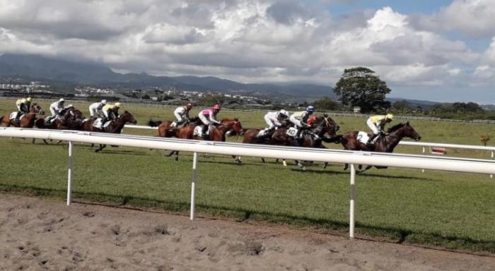Les courses de chevaux de la Martinique plus retransmises sur la chaîne nationale Equidia